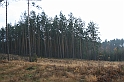 Rostoczek 11.2008 006